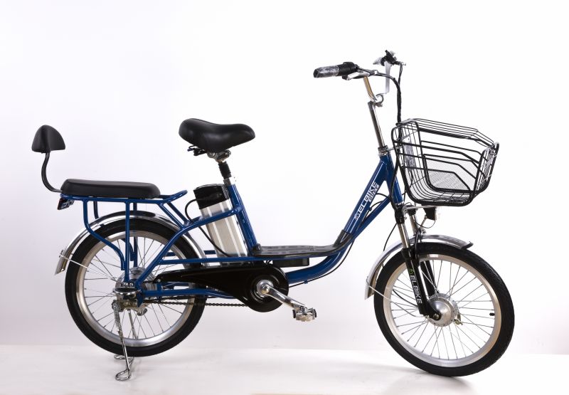 Электровелосипед легкий Elbike Duet 250W 36V/8,8Ah купить в Москве