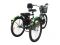 Электровелосипед трехколесный Horza Stels Trike Passenger 1000W 48V/30Ah