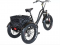Электровелосипед трехколесный Etoro Grande Panda 750W 20