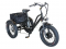 Электровелосипед трехколесный Etoro Grande Panda 750W 20