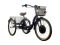 Электровелосипед трехколесный Horza Stels Energy 48V20Ah