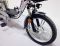 Электровелосипед GreenCamel Транк-18-60 (R18 500W 60V) Alum