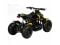 Электроквадроцикл детский Minimoto F5 от 3-х лет
