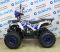 Квадроцикл ATV CLASSIC 8+ NEW