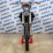 Мотоцикл Avantis Enduro 300 CARB (NC250/177MM DESIGN KT) ARS (2021)