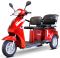 Электротрицикл E-toro Trike Double Passenger 800W 48V20Ah