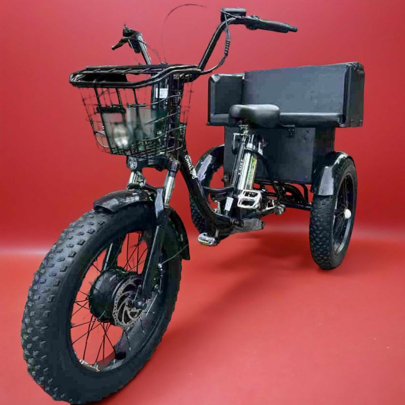 Трехколесный электровелосипед Fat Trike T LUX с задним сиденьем Трехколесный электровелосипед Fat Trike T LUX с задним сиденьем