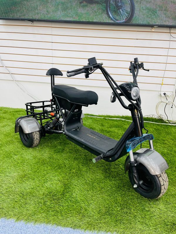 Gbike TRIKE MINI R 1500W