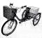 Электровелосипед трехколесный взрослый Etoro Turino 350
