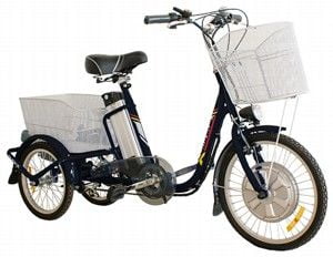 Электровелосипед трехколесный Omnibike 350 36V черный