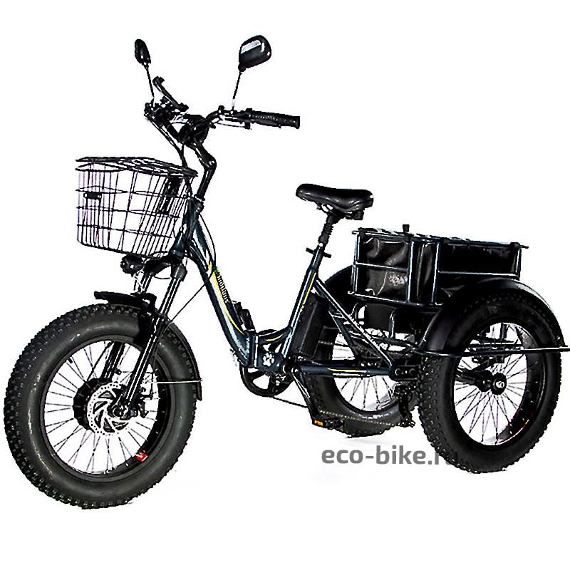 Электровелосипед трехколесный E-motions Panda