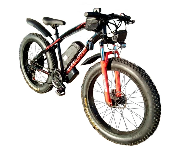 Электровелосипед Electrofatbike Electrofat RX-500 500W 48V/8Ah