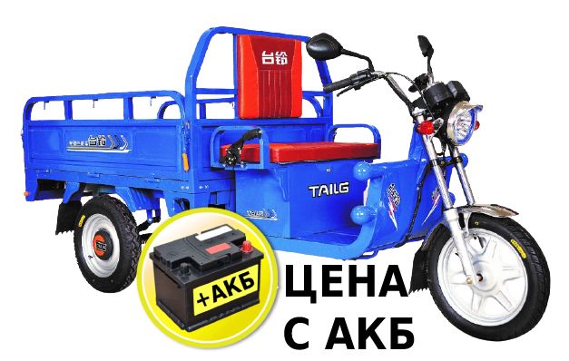 Электротрицикл TaiLG TL800DQZ-40Z c АКБ