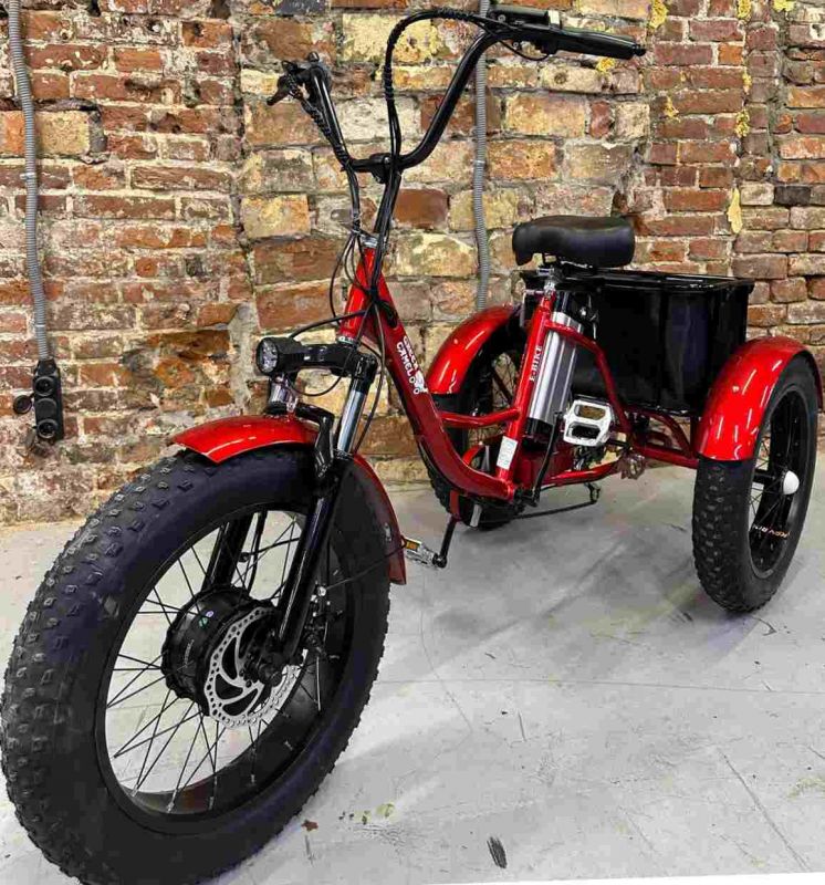 Электровелосипед Fat Trike T (20FAT 500W 48V 12.5Ah) 